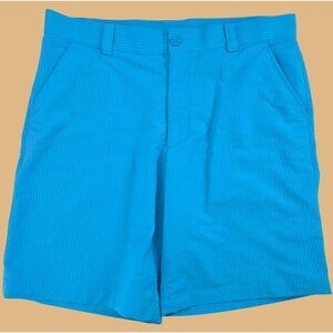 Under Armour Mens Nylon Blend Shorts 38 Blue Striped